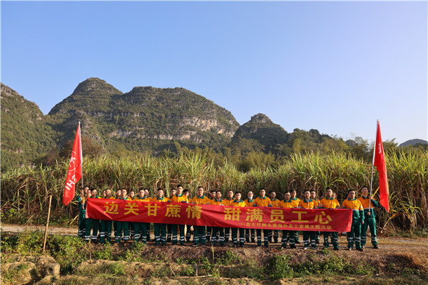 边关甘蔗情，“甜”满员工心—崇左球盟会体育助海外员工家属收甘蔗